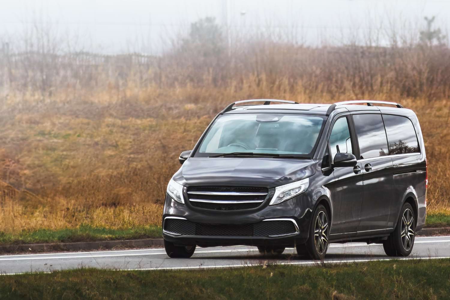 przewozy busami do holandii